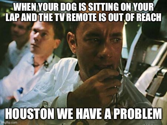 Houston we have a problem | WHEN YOUR DOG IS SITTING ON YOUR LAP AND THE TV REMOTE IS OUT OF REACH; HOUSTON WE HAVE A PROBLEM | image tagged in houston we have a problem | made w/ Imgflip meme maker