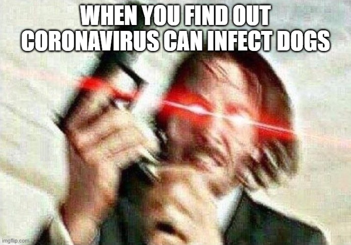 John Wick | WHEN YOU FIND OUT CORONAVIRUS CAN INFECT DOGS | image tagged in john wick | made w/ Imgflip meme maker