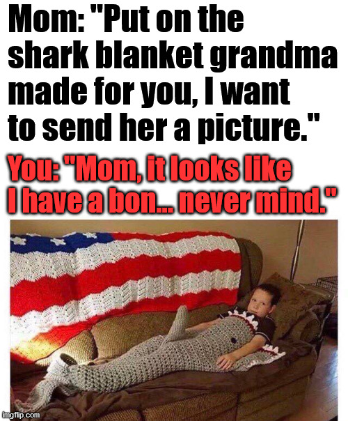 Sending isolated grandma pictures of Christmas gift. | Mom: "Put on the shark blanket grandma made for you, I want to send her a picture."; You: "Mom, it looks like I have a bon... never mind." | image tagged in funny picture,totally looks like,shark | made w/ Imgflip meme maker