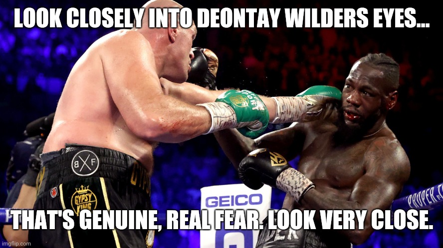 Deontay wilders fear | LOOK CLOSELY INTO DEONTAY WILDERS EYES... THAT'S GENUINE, REAL FEAR. LOOK VERY CLOSE. | image tagged in funny memes | made w/ Imgflip meme maker