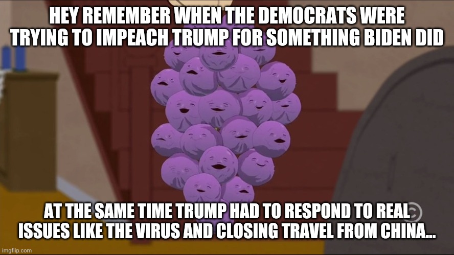 Member Berries | HEY REMEMBER WHEN THE DEMOCRATS WERE TRYING TO IMPEACH TRUMP FOR SOMETHING BIDEN DID; AT THE SAME TIME TRUMP HAD TO RESPOND TO REAL ISSUES LIKE THE VIRUS AND CLOSING TRAVEL FROM CHINA... | image tagged in memes,member berries | made w/ Imgflip meme maker