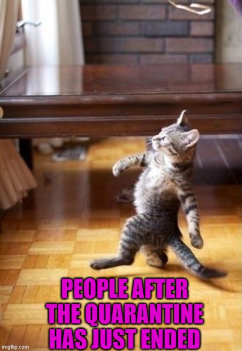 Cool Cat Stroll | PEOPLE AFTER THE QUARANTINE HAS JUST ENDED | image tagged in memes,cool cat stroll | made w/ Imgflip meme maker