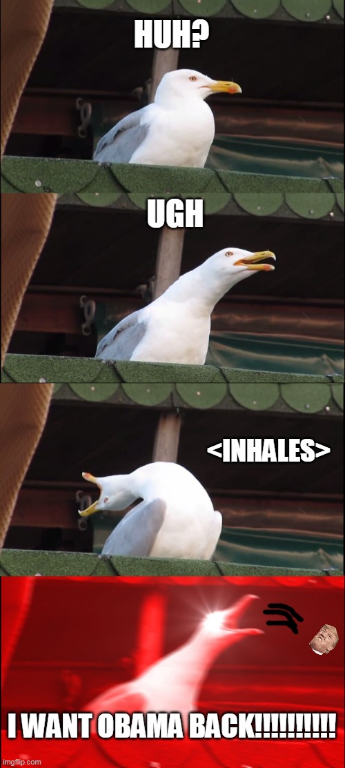 Inhaling Seagull | HUH? UGH; <INHALES>; I WANT OBAMA BACK!!!!!!!!!! | image tagged in memes,inhaling seagull | made w/ Imgflip meme maker