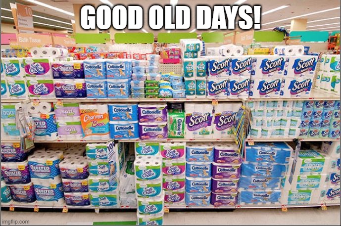 Good Old Days | GOOD OLD DAYS! | image tagged in toilet paper | made w/ Imgflip meme maker