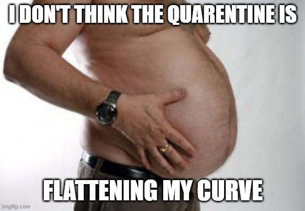 I DON'T THINK THE QUARENTINE IS; FLATTENING MY CURVE | image tagged in quarantine | made w/ Imgflip meme maker