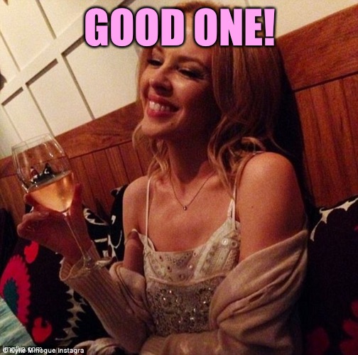 Kylie cheers | GOOD ONE! | image tagged in kylie cheers | made w/ Imgflip meme maker