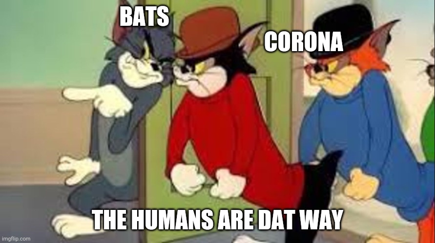 Tom and Jerry Goons | BATS                                                                           CORONA; THE HUMANS ARE DAT WAY | image tagged in tom and jerry goons | made w/ Imgflip meme maker
