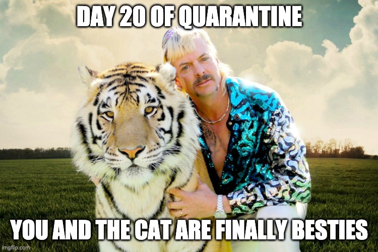 tiger king | DAY 20 OF QUARANTINE; YOU AND THE CAT ARE FINALLY BESTIES | image tagged in tiger king | made w/ Imgflip meme maker