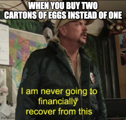 Joe Exotic Financially Recover | WHEN YOU BUY TWO CARTONS OF EGGS INSTEAD OF ONE | image tagged in joe exotic financially recover | made w/ Imgflip meme maker