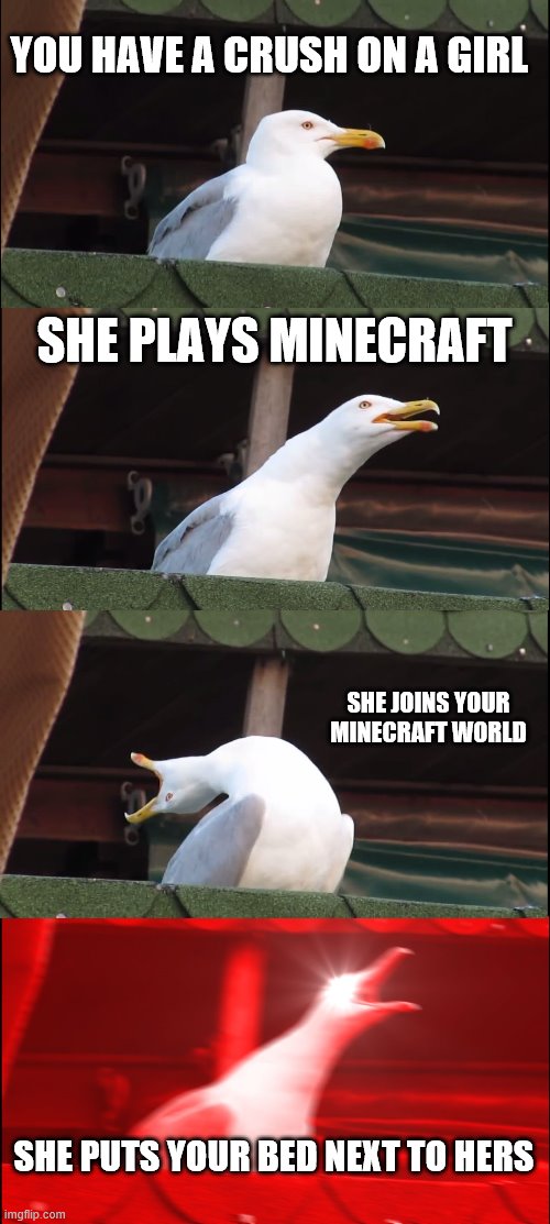 Inhaling Seagull | YOU HAVE A CRUSH ON A GIRL; SHE PLAYS MINECRAFT; SHE JOINS YOUR MINECRAFT WORLD; SHE PUTS YOUR BED NEXT TO HERS | image tagged in memes,inhaling seagull | made w/ Imgflip meme maker