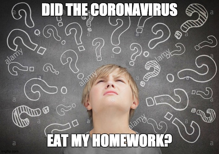 The Coronavirus Ate My Homework | DID THE CORONAVIRUS; EAT MY HOMEWORK? | image tagged in coronavirus | made w/ Imgflip meme maker