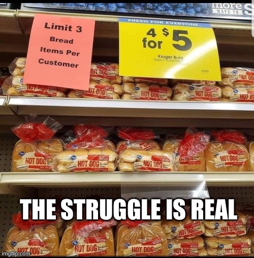 THE STRUGGLE IS REAL | THE STRUGGLE IS REAL | image tagged in the struggle is real | made w/ Imgflip meme maker