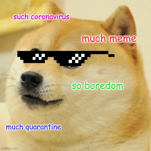 Doge | such coronavirus; much meme; so boredom; much quarantine | image tagged in memes,doge | made w/ Imgflip meme maker