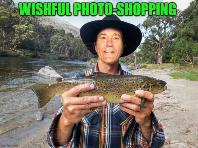 WISHFUL PHOTO-SHOPPING | made w/ Imgflip meme maker