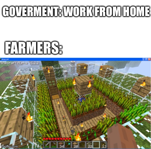 1 | GOVERMENT: WORK FROM HOME; FARMERS: | image tagged in memes,funny,blank white template,blank transparent square,minecraft | made w/ Imgflip meme maker