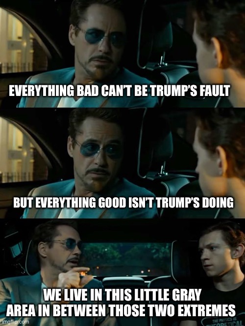 Tony stark grey area spiderman |  EVERYTHING BAD CAN’T BE TRUMP’S FAULT; BUT EVERYTHING GOOD ISN’T TRUMP’S DOING; WE LIVE IN THIS LITTLE GRAY AREA IN BETWEEN THOSE TWO EXTREMES | image tagged in tony stark grey area spiderman | made w/ Imgflip meme maker
