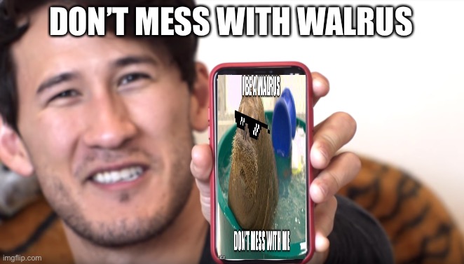 Markiplier Transparent Phone | DON’T MESS WITH WALRUS | image tagged in markiplier transparent phone | made w/ Imgflip meme maker