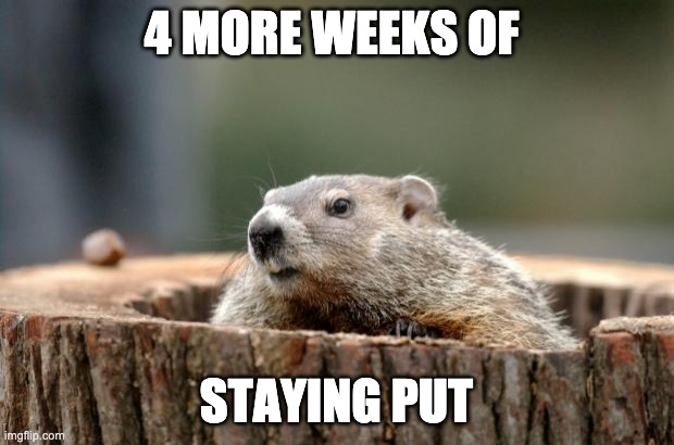 Groundhog | 4 MORE WEEKS OF; STAYING PUT | image tagged in groundhog | made w/ Imgflip meme maker