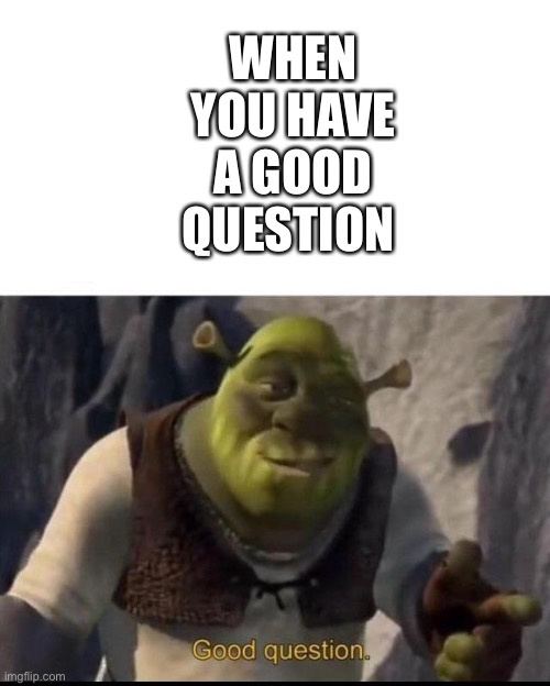 Shrek | WHEN YOU HAVE A GOOD QUESTION | image tagged in shrek | made w/ Imgflip meme maker