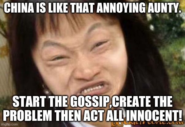 China Garden | CHINA IS LIKE THAT ANNOYING AUNTY. START THE GOSSIP,CREATE THE PROBLEM THEN ACT ALL INNOCENT! | image tagged in china garden | made w/ Imgflip meme maker