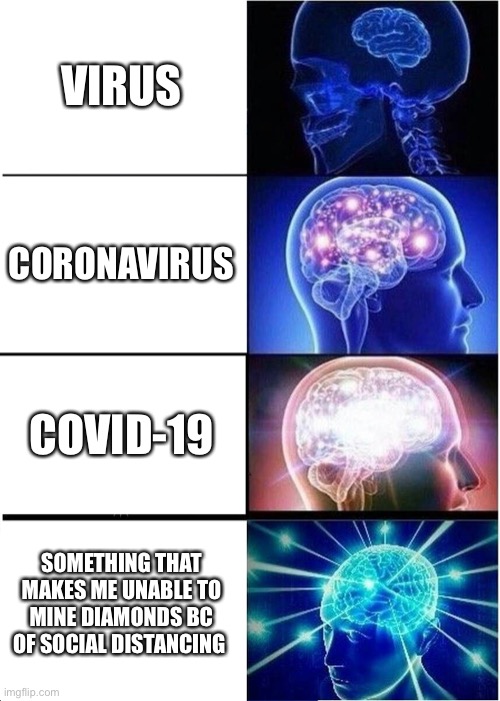 Expanding Brain Meme | VIRUS; CORONAVIRUS; COVID-19; SOMETHING THAT MAKES ME UNABLE TO MINE DIAMONDS BC OF SOCIAL DISTANCING | image tagged in memes,expanding brain | made w/ Imgflip meme maker