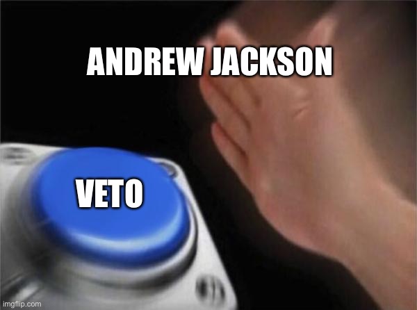 Blank Nut Button Meme | ANDREW JACKSON; VETO | image tagged in memes,blank nut button | made w/ Imgflip meme maker