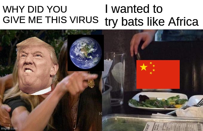 Woman Yelling At Cat | WHY DID YOU GIVE ME THIS VIRUS; I wanted to try bats like Africa | image tagged in memes,woman yelling at cat | made w/ Imgflip meme maker