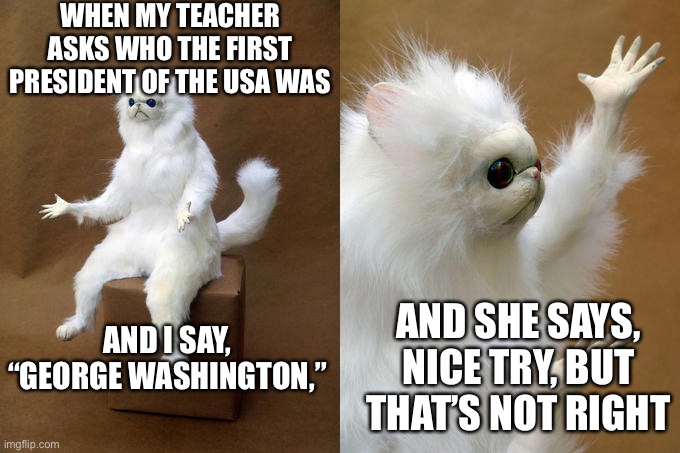 Persian Cat Room Guardian | WHEN MY TEACHER ASKS WHO THE FIRST PRESIDENT OF THE USA WAS; AND I SAY, “GEORGE WASHINGTON,”; AND SHE SAYS, NICE TRY, BUT THAT’S NOT RIGHT | image tagged in memes,persian cat room guardian | made w/ Imgflip meme maker