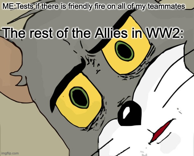 Unsettled Tom Meme | ME:Tests if there is friendly fire on all of my teammates; The rest of the Allies in WW2: | image tagged in memes,unsettled tom | made w/ Imgflip meme maker