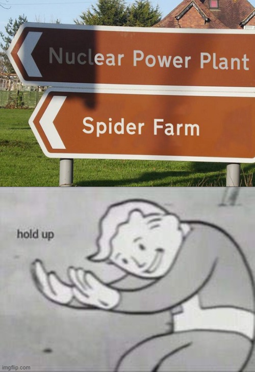 i hope there aren't any radioactive spiders | image tagged in fallout hold up | made w/ Imgflip meme maker