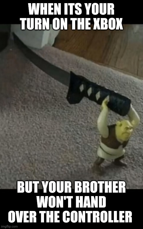 HAND OVER THE CONTROLLER TIMMY | WHEN ITS YOUR TURN ON THE XBOX; BUT YOUR BROTHER WON'T HAND OVER THE CONTROLLER | image tagged in shrek the assassin,my turn on the xbox,shrek | made w/ Imgflip meme maker