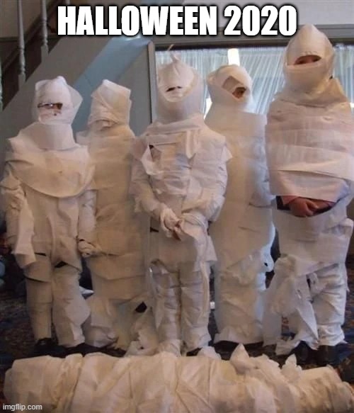 Halloween 2020 | HALLOWEEN 2020 | image tagged in toilet paper,costume,halloween costume,coronavirus | made w/ Imgflip meme maker