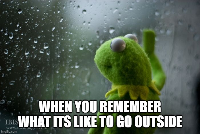 kermit window | WHEN YOU REMEMBER WHAT ITS LIKE TO GO OUTSIDE | image tagged in kermit window | made w/ Imgflip meme maker