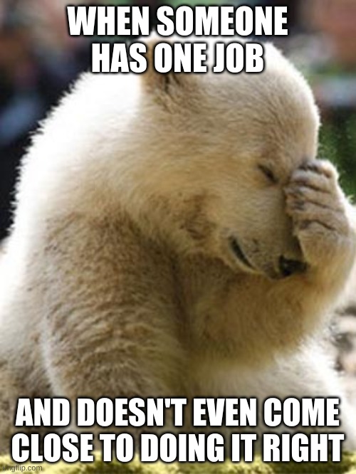 Facepalm Bear Meme | WHEN SOMEONE HAS ONE JOB AND DOESN'T EVEN COME CLOSE TO DOING IT RIGHT | image tagged in memes,facepalm bear | made w/ Imgflip meme maker