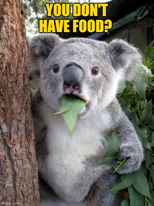 Surprised Koala Meme | YOU DON'T HAVE FOOD? | image tagged in memes,surprised koala | made w/ Imgflip meme maker