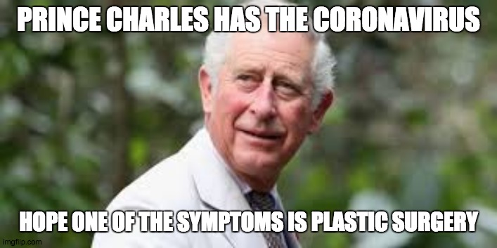 Hope For The Best | PRINCE CHARLES HAS THE CORONAVIRUS; HOPE ONE OF THE SYMPTOMS IS PLASTIC SURGERY | image tagged in prince charles,coronavirus,plastic surgery | made w/ Imgflip meme maker