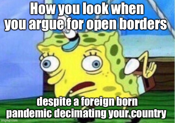 Open borders buffoons | How you look when you argue for open borders; despite a foreign born pandemic decimating your country | image tagged in memes,mocking spongebob,covid-19,coronavirus,pandemic,open borders | made w/ Imgflip meme maker