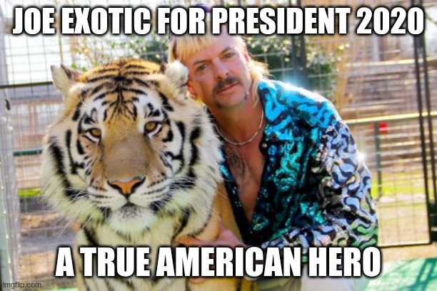 joe2020 | JOE EXOTIC FOR PRESIDENT 2020; A TRUE AMERICAN HERO | image tagged in tiger,joe exotic | made w/ Imgflip meme maker