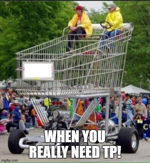 TP Run | WHEN YOU REALLY NEED TP! | image tagged in funny | made w/ Imgflip meme maker