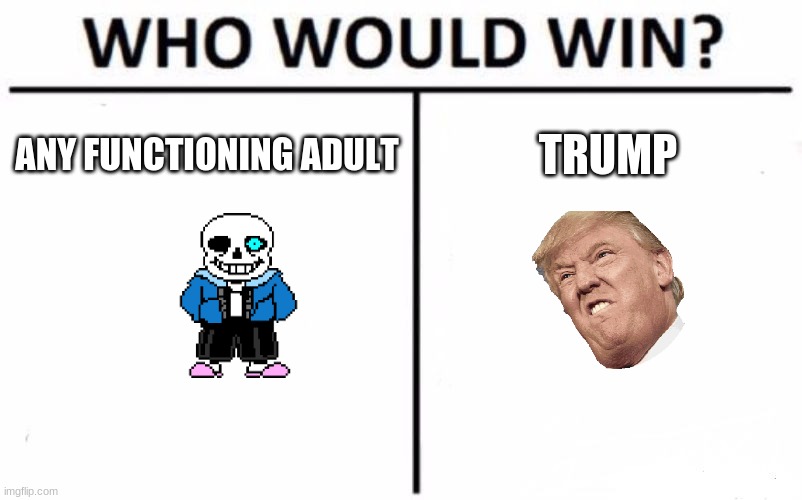 Who Would Win? Meme | ANY FUNCTIONING ADULT; TRUMP | image tagged in memes,who would win | made w/ Imgflip meme maker