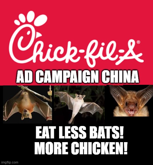Eat Less Bats!  More Chicken! | AD CAMPAIGN CHINA; EAT LESS BATS!  MORE CHICKEN! | image tagged in corona virus,china | made w/ Imgflip meme maker