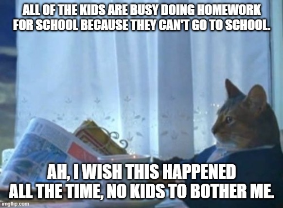 I Should Buy A Boat Cat | ALL OF THE KIDS ARE BUSY DOING HOMEWORK FOR SCHOOL BECAUSE THEY CAN'T GO TO SCHOOL. AH, I WISH THIS HAPPENED ALL THE TIME, NO KIDS TO BOTHER ME. | image tagged in memes,i should buy a boat cat | made w/ Imgflip meme maker