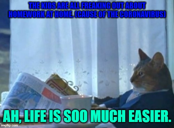 I Should Buy A Boat Cat Meme | THE KIDS ARE ALL FREAKING OUT ABOUT HOMEWORK AT HOME. (CAUSE OF THE CORONAVIRUS); AH, LIFE IS SOO MUCH EASIER. | image tagged in memes,i should buy a boat cat | made w/ Imgflip meme maker