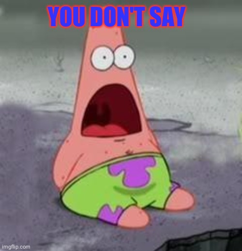 Suprised Patrick | YOU DON'T SAY | image tagged in suprised patrick | made w/ Imgflip meme maker