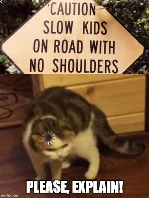 PLEASE, EXPLAIN! | image tagged in loading cat | made w/ Imgflip meme maker