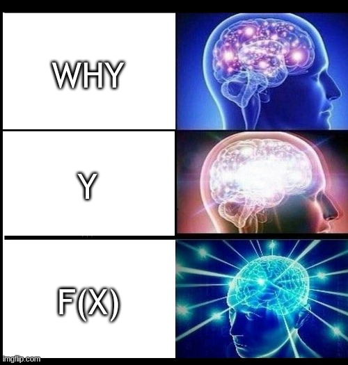 WHY; Y; F(X) | image tagged in expanding brain | made w/ Imgflip meme maker
