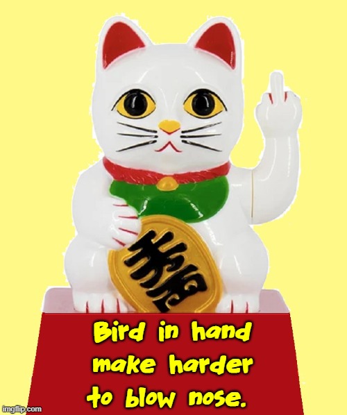 I don't care what Confucius say... me Kitty Kattitude | Bird in hand make harder to blow nose. | image tagged in vince vance,confucius says,cats,chinese,restaurant,chinese food | made w/ Imgflip meme maker