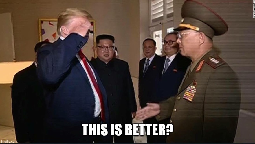 Trump salutes North Korean officer | THIS IS BETTER? | image tagged in trump salutes north korean officer | made w/ Imgflip meme maker