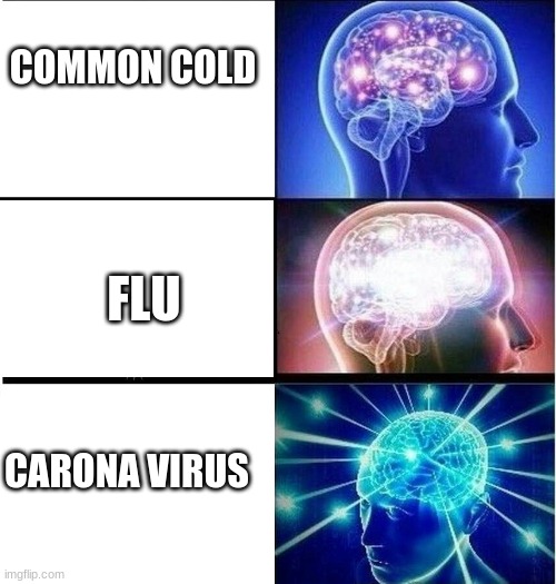 Expanding brain 3 panels | COMMON COLD; FLU; CARONA VIRUS | image tagged in expanding brain 3 panels | made w/ Imgflip meme maker