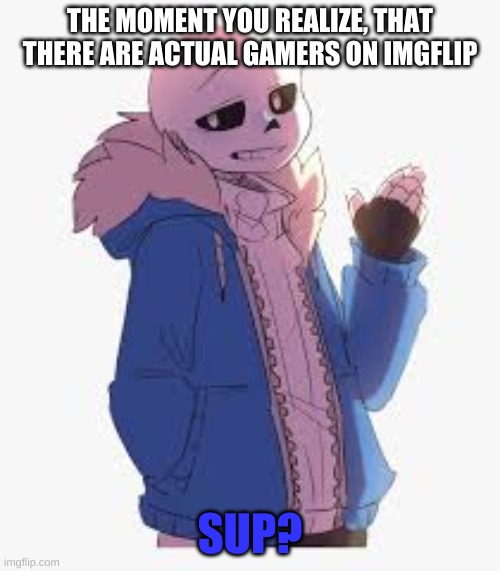 THE MOMENT YOU REALIZE, THAT THERE ARE ACTUAL GAMERS ON IMGFLIP; SUP? | made w/ Imgflip meme maker
